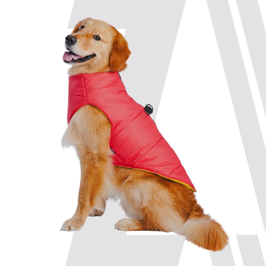 Zoomiez Ultimate Dog Jacket With Built In Harness - Red-Yellow