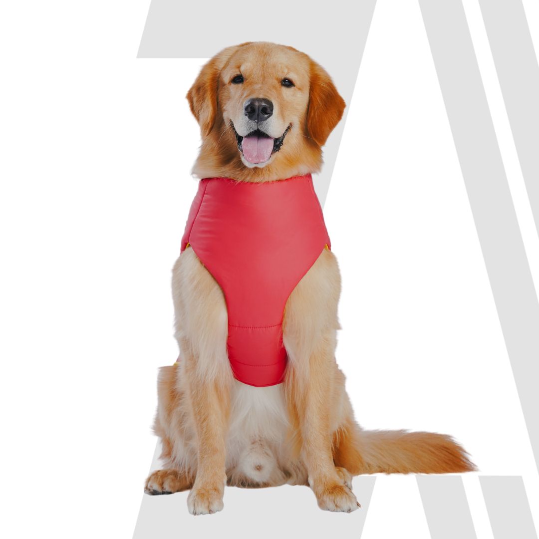 Zoomiez Ultimate Dog Jacket With Built In Harness - Red-Yellow